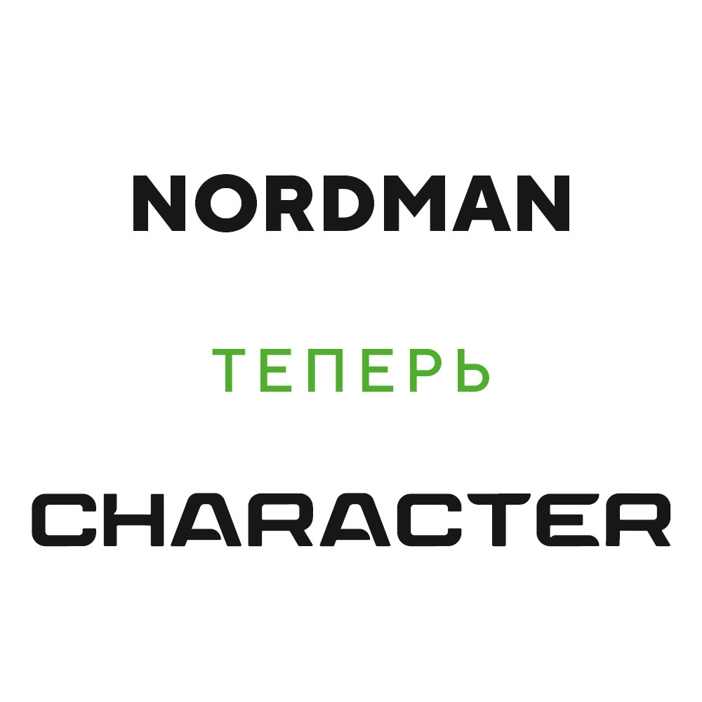Nokian Tyres (Ikon) Nordman C 205/75 R16C 113/111R заказать